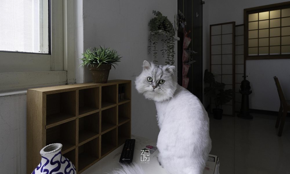 9坪租屋處變成復古咖啡廳了-照片標題